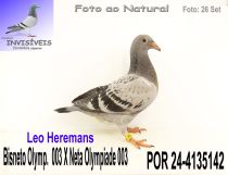 POR 24-4135142